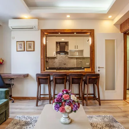 Super House 75 Mt 2 Bedrooms 1 Living Center 伊斯坦布尔